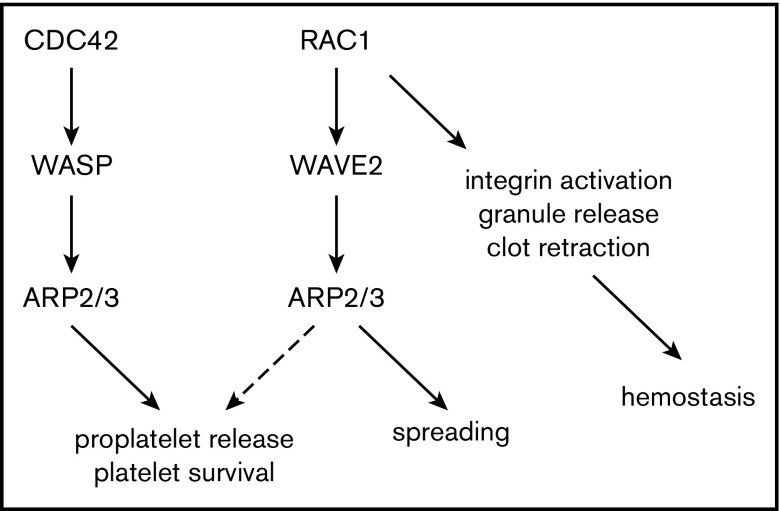 Figure 7.