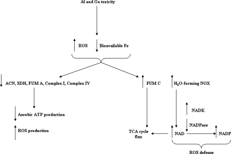 FIG. 6.