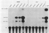 525