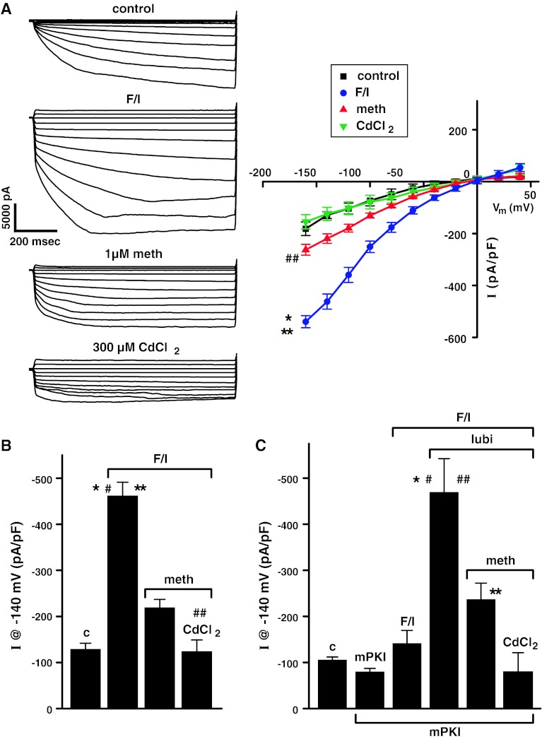 Fig. 6