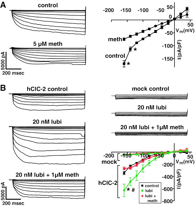 Fig. 4