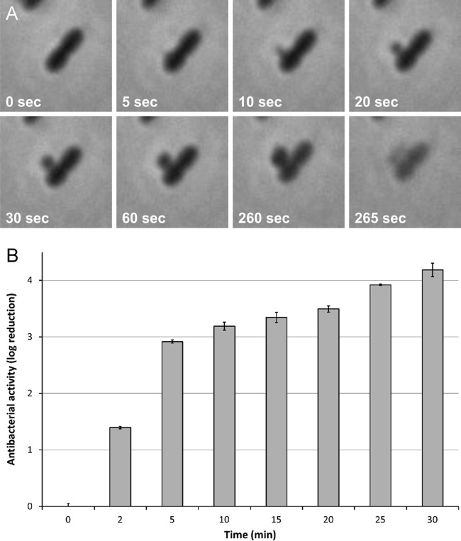 FIG 2