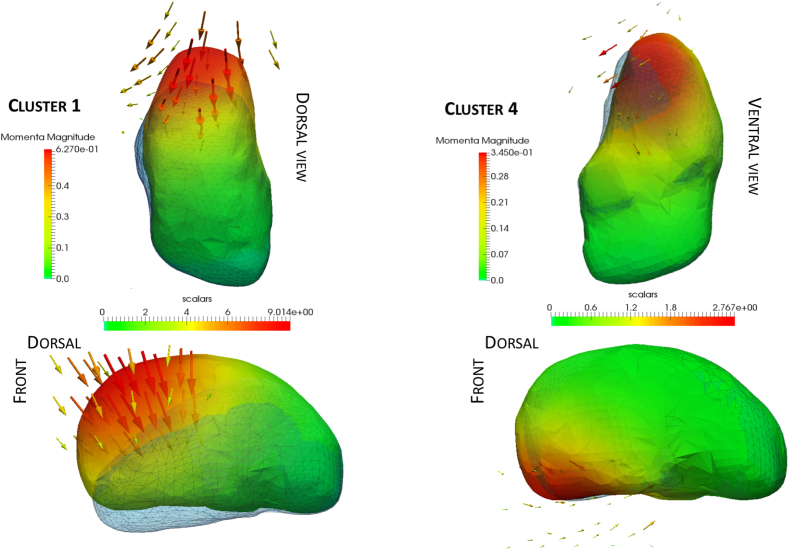 Fig. 3