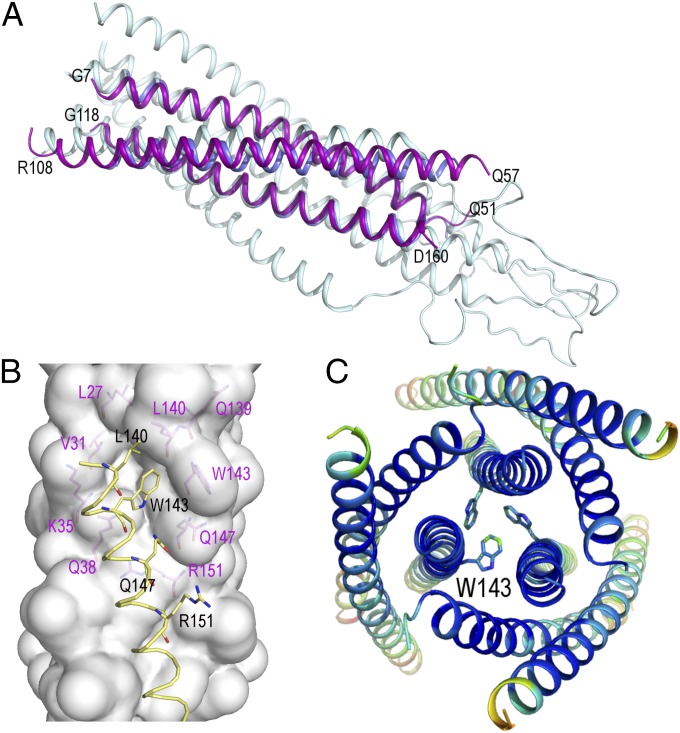 Fig. 4.