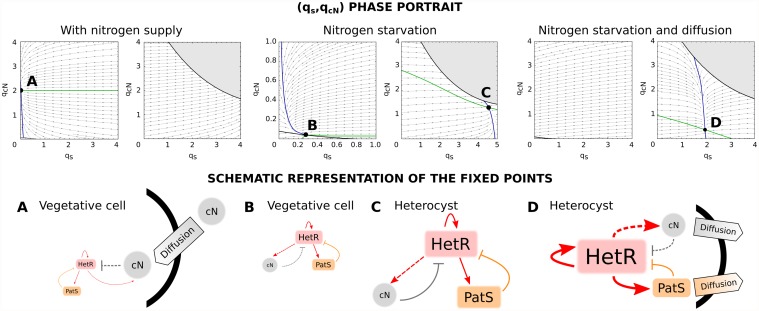 Fig 5