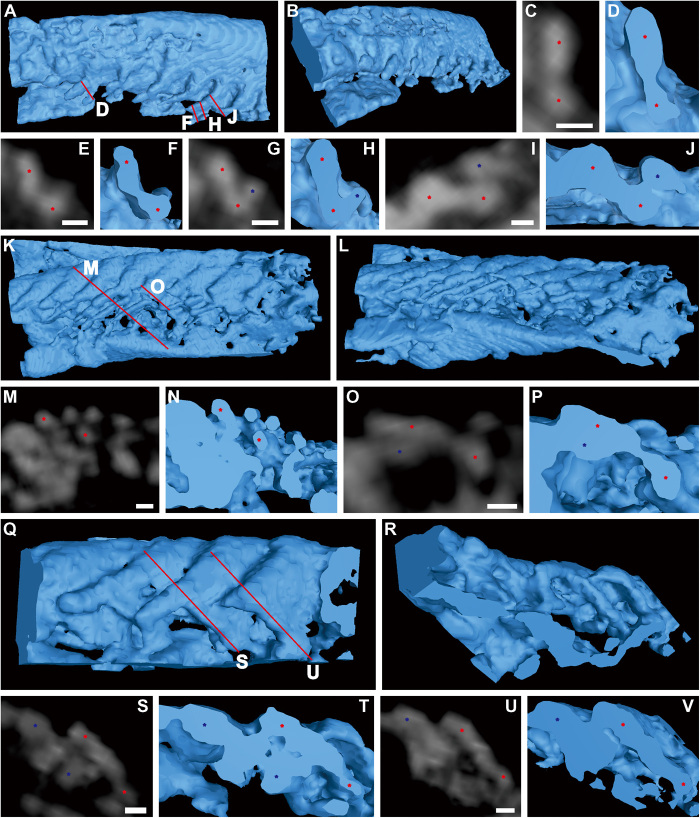 Fig. 2