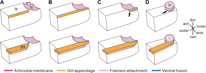 Fig. 6