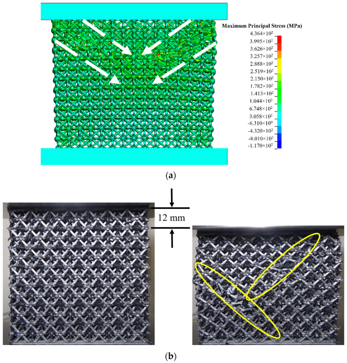 Figure 19