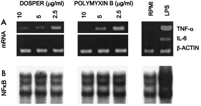 FIG. 6