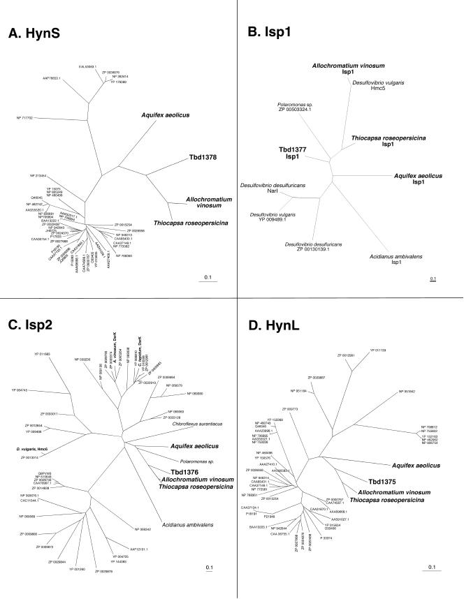 FIG.4.