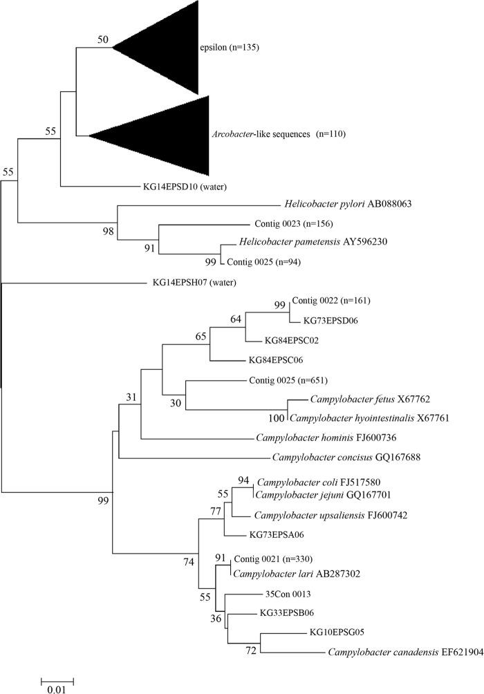FIG 3