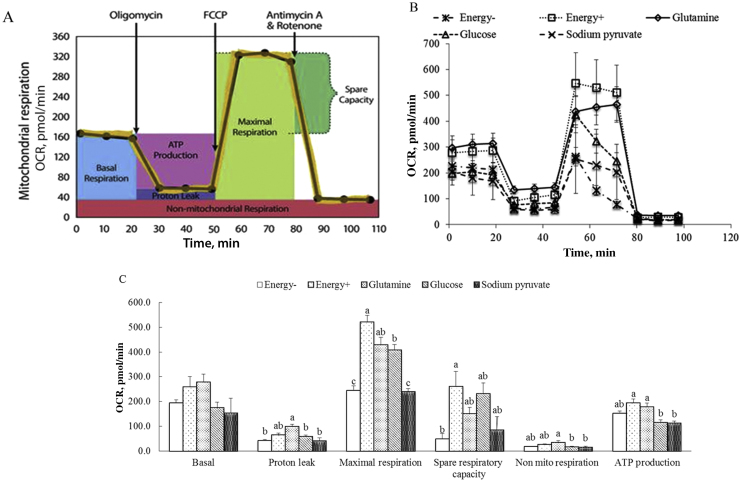 Fig. 3