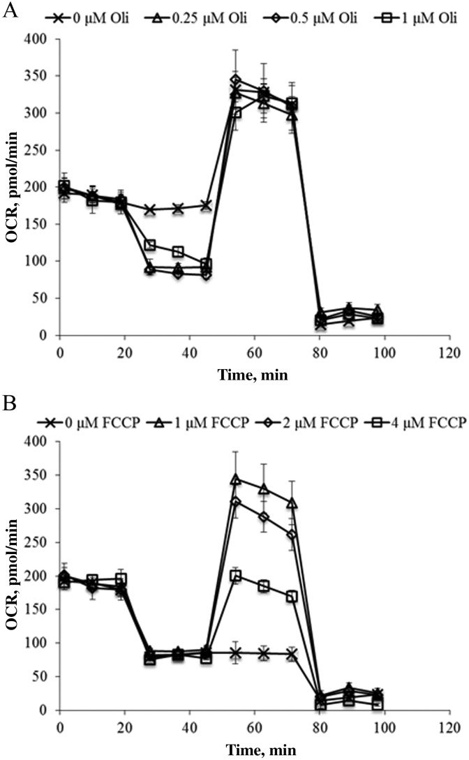 Fig. 2