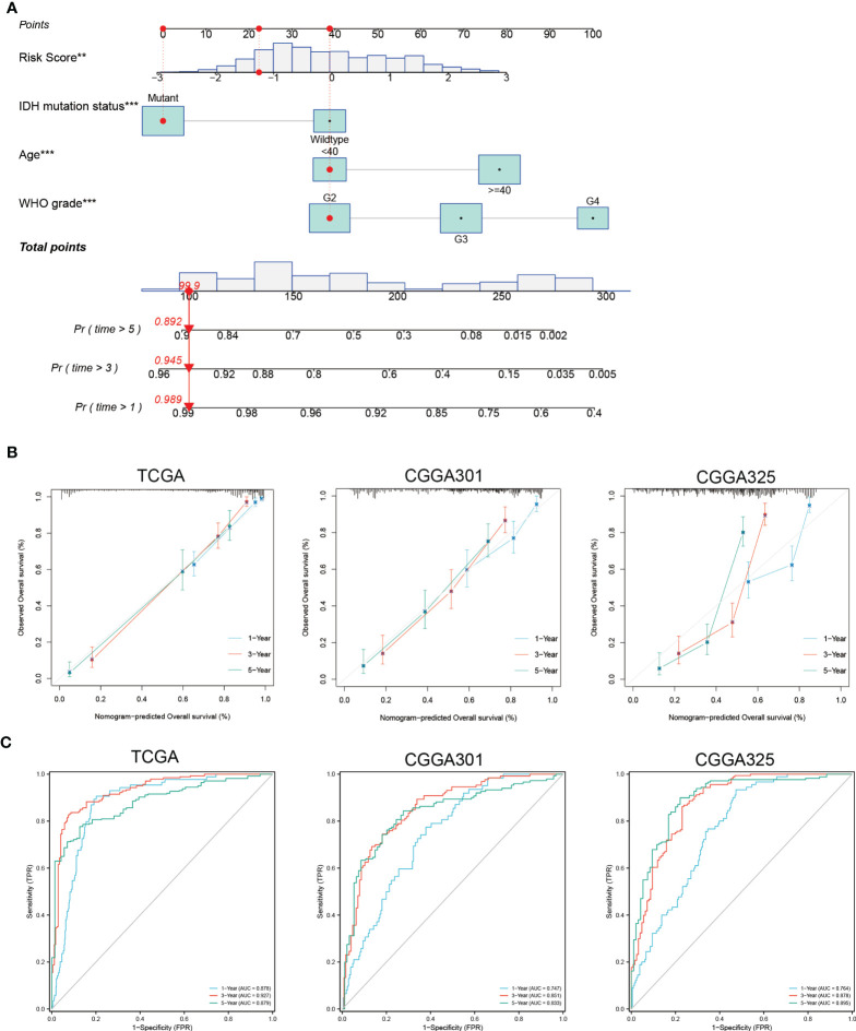 Figure 4