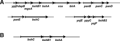 FIG. 5.