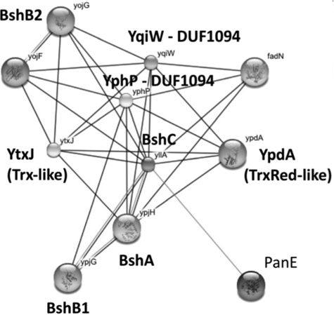 FIG. 4.