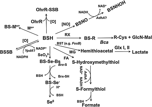 FIG. 6.