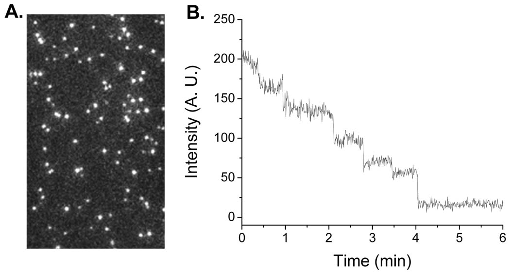 Fig. 2