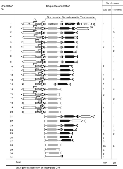 graphic file with name ismej2010208t1.jpg