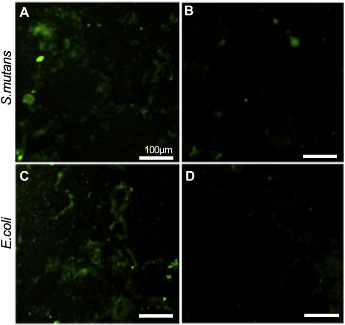 Figure 6: