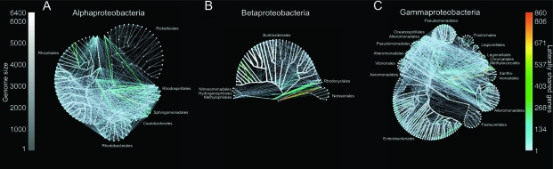 FIG. 6.