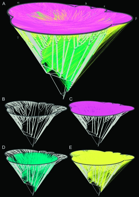 FIG. 7.