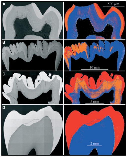 Fig. 6