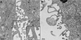 FIG 6