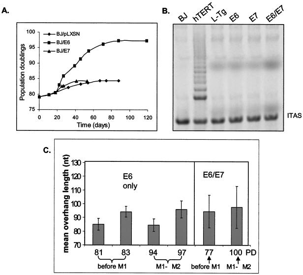 FIG. 6.