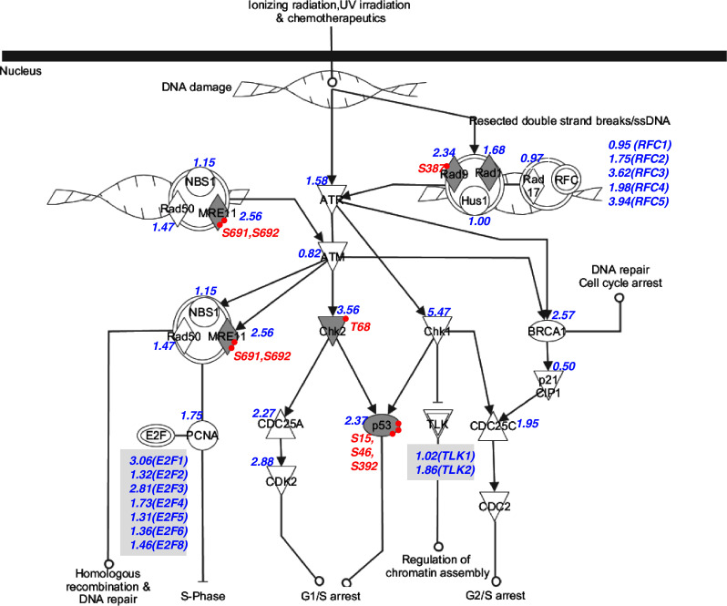 Fig. 7