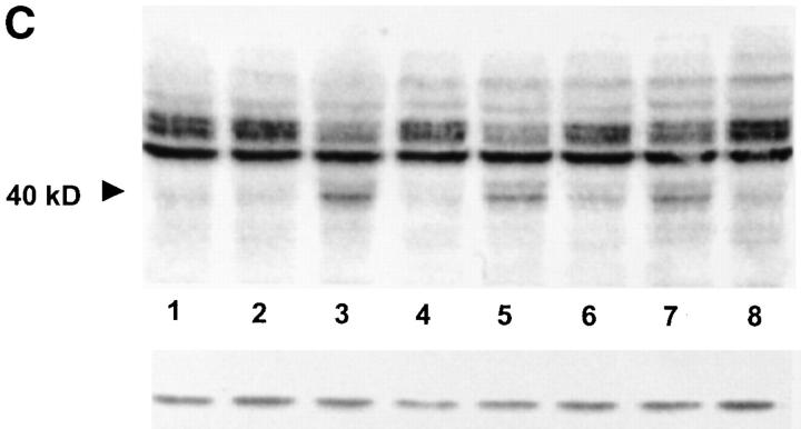 Figure 10.