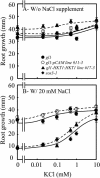 Figure 11.
