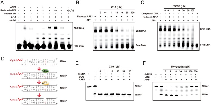 Fig 4