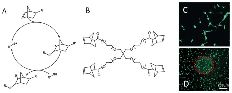 Figure 17