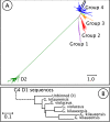 Fig. 2