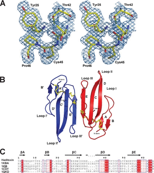 FIGURE 6.