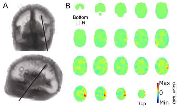 Fig. 6