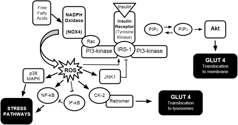 Fig. 1