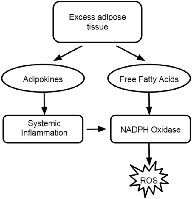 Fig. 2