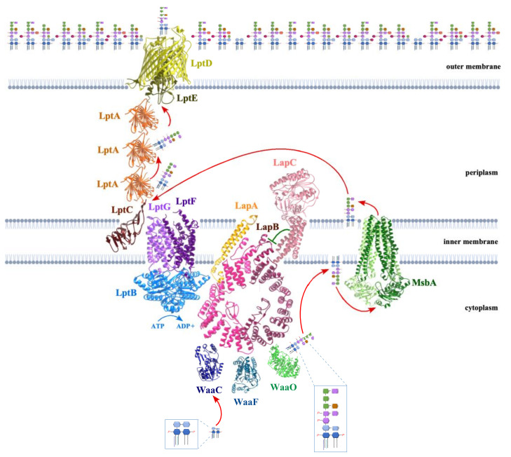 Figure 2