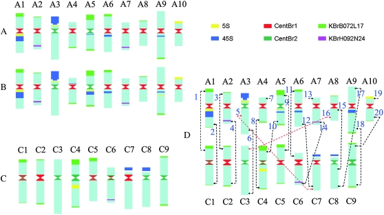 Figure 7.—