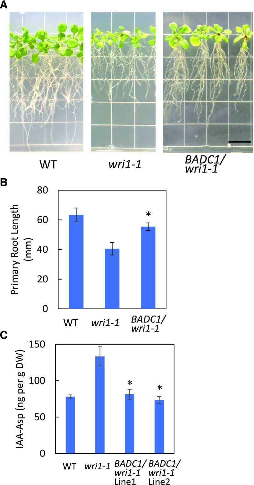 Figure 6.