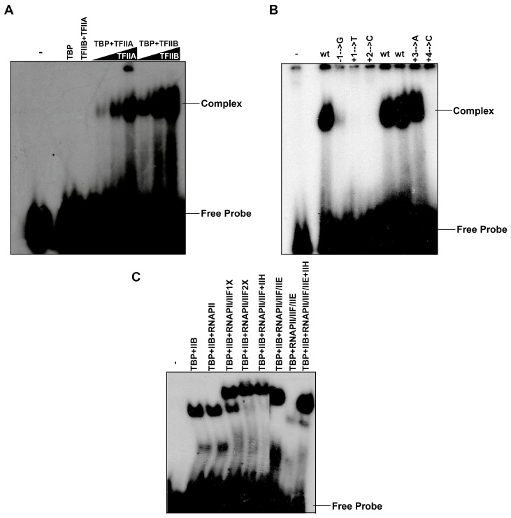 Figure 5