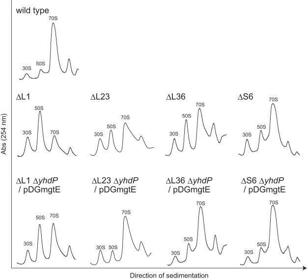 FIG 2