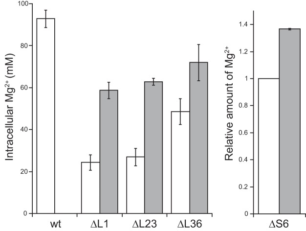 FIG 1