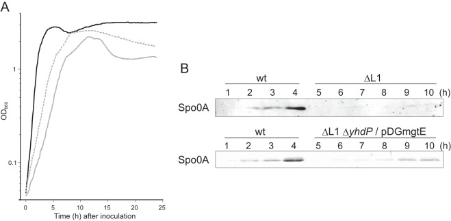 FIG 5