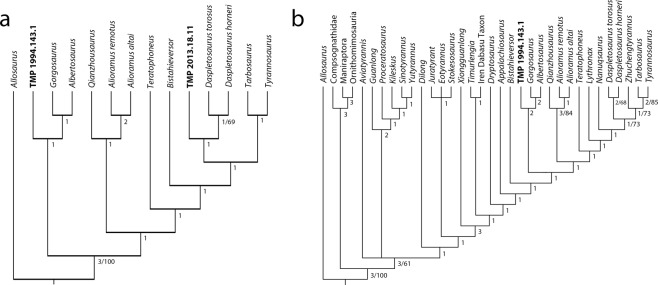 Reassessment of a juvenile Daspletosaurus from the Late Cretaceous of ...