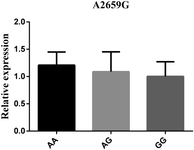 Figure 6