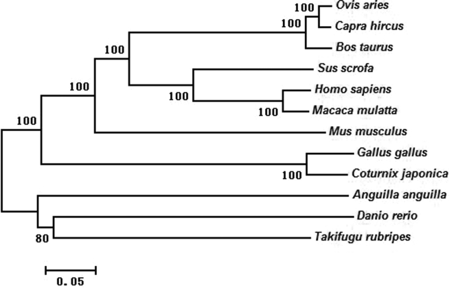 Figure 7