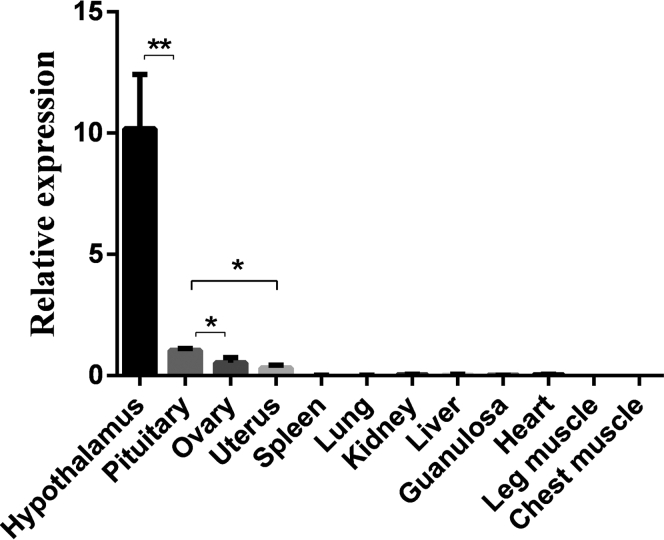 Figure 1